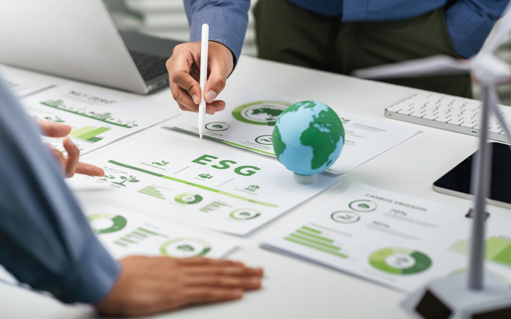 Image for המקרה המוזר של דוחות ESG : יותר דיווחים, פחות מסר
