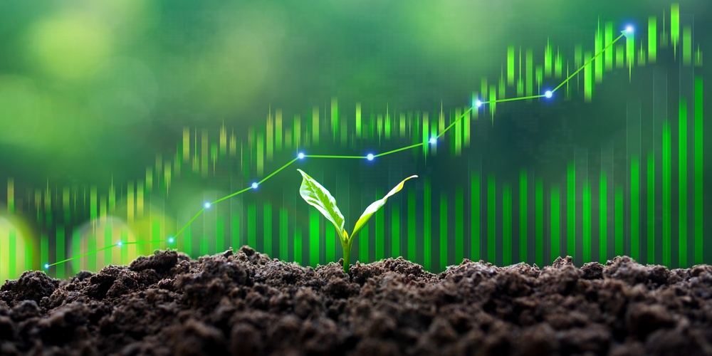 Image for The ESG Cost of Doing Business